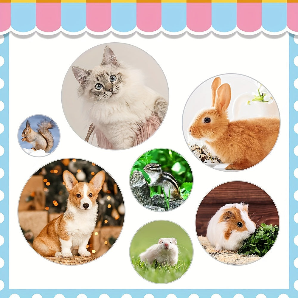 9  rabbit grooming kit shedding brush nail clipper