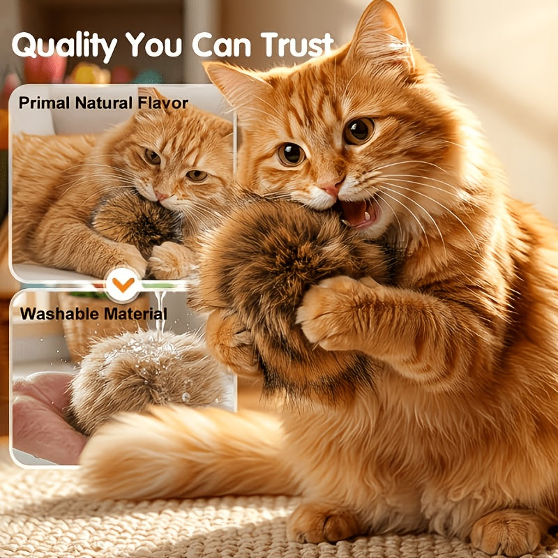 4pcs   rabbit cat toys indoor interactive cat