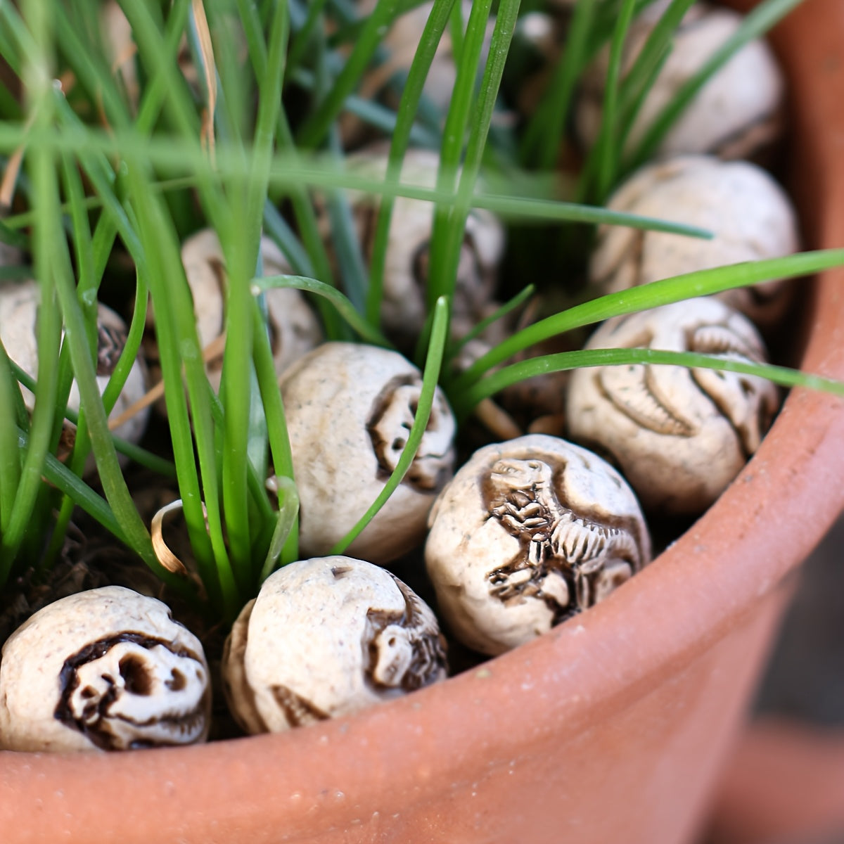 20pcs halloween dinosaur skull   bonsai decorative