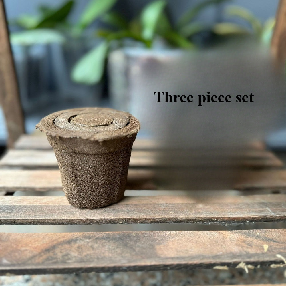 orchid special soil anti rot root breathable plant