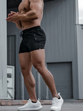 mens summer sports shorts   quick drying